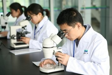 食品研发上市前要有哪些准备