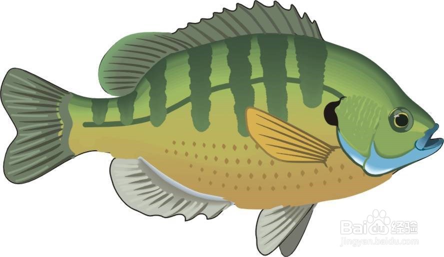 食盐在生活中的任性用法