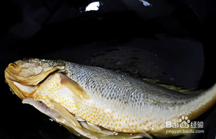 家常菜:红烧黄花鱼