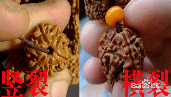 金刚菩提子上色