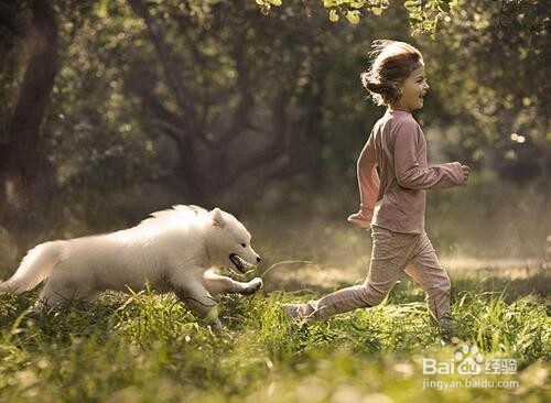 怎样帮助宝宝减轻对动物的恐惧？