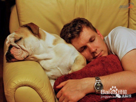 国际睡眠日:人类为何少不了睡眠?