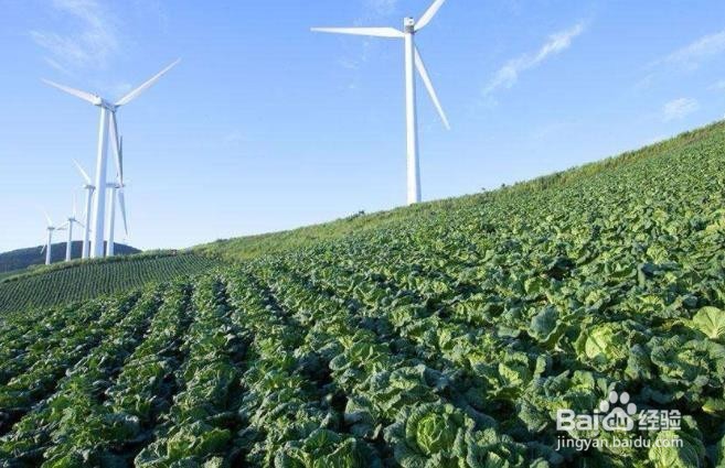 如何发展壮大农业产业