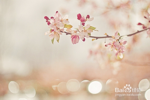 吃什么才能减轻狐臭呢