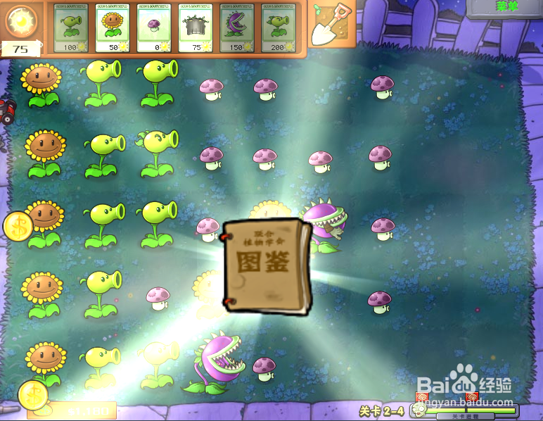 植物大战僵尸无尽版第2-4关怎么过?