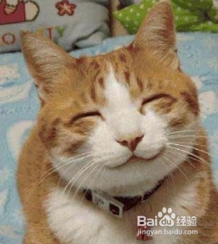 一生一次的马上帮助停止他人打嗝的妙招