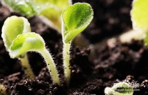 “非法占用耕地罪”法律修改对策建议