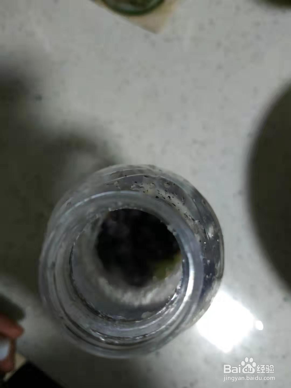 葡萄酒的酿造方法