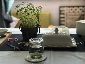 手把手教你制作绿豆盆栽