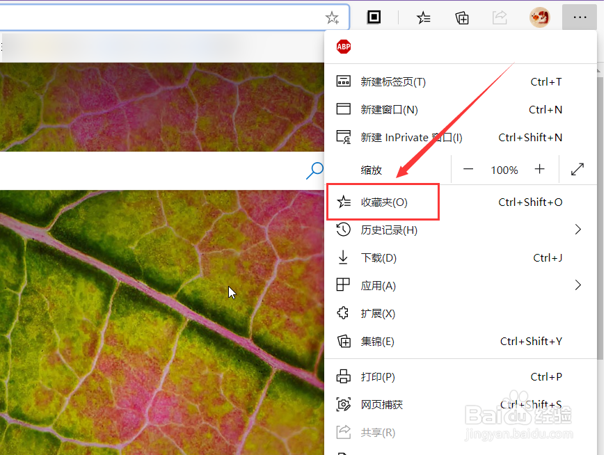 Microsoft Edge怎么导出收藏夹