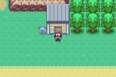 口袋妖怪圣灰攻略图片5