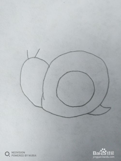 简单的蜗牛怎么画（一）