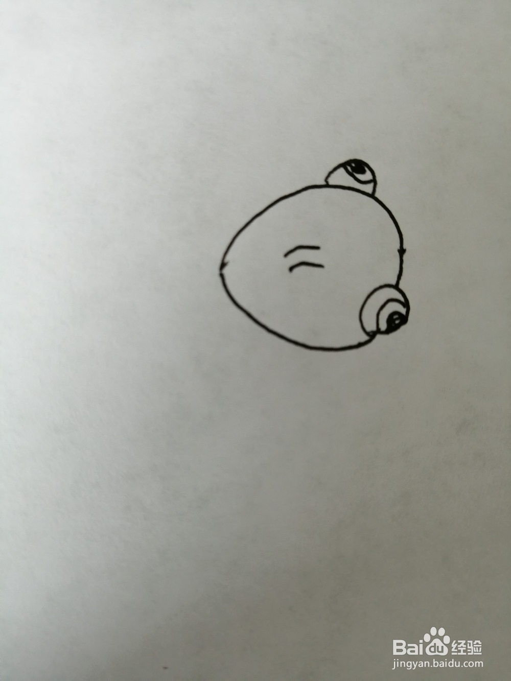 简单的小金鱼怎么画