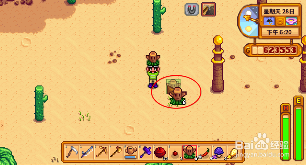 星露谷物语传送图腾怎么用 星露谷怎么传送回家