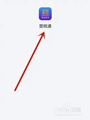 楚税通怎么开电子发票