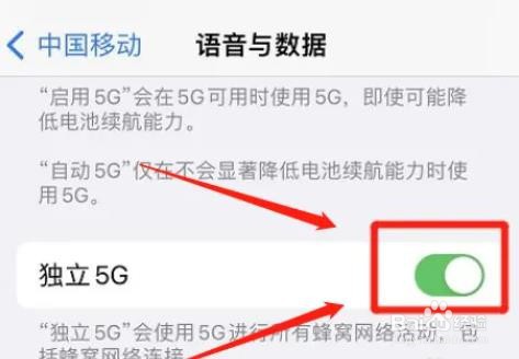 怎么启用苹果独立5G