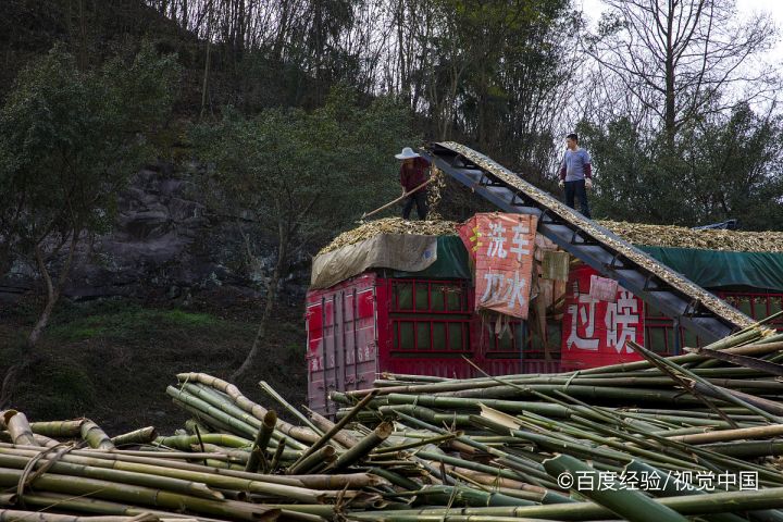 理想在人生中的作用