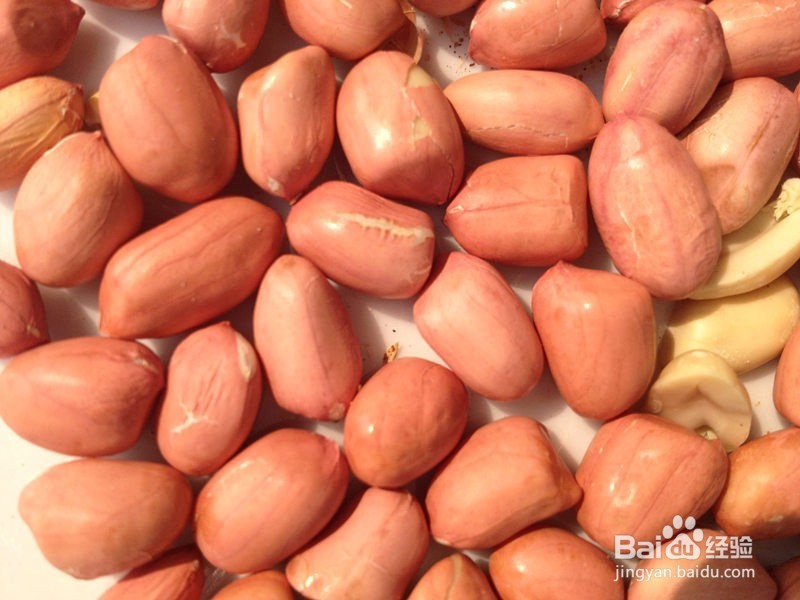 花生的全面详细介绍