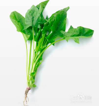 哪些食物不能放在一起吃