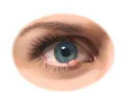 怎样治疗麦粒肿?