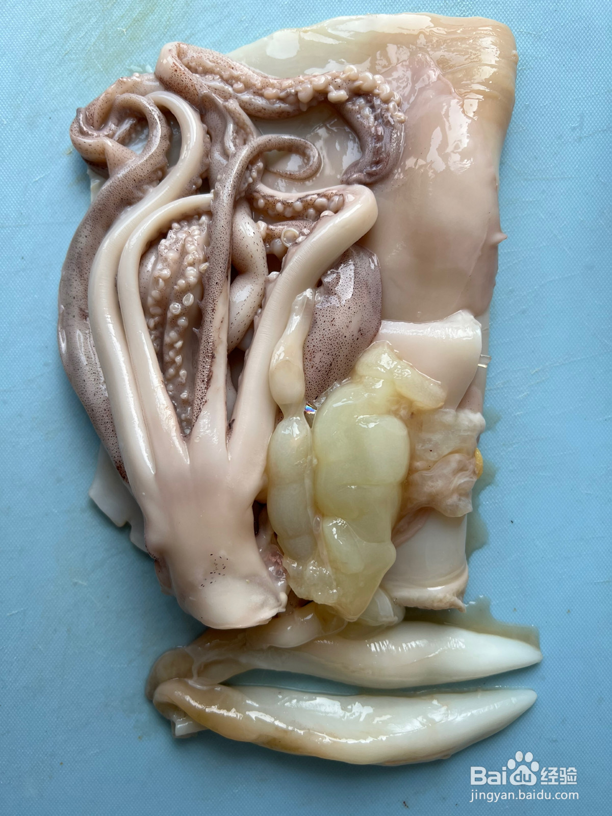 葱爆大鱿鱼美味又低卡的做法