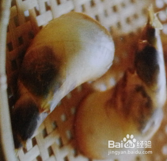 竹笋排骨汤的制作方法