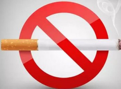 如何预防心脑血管疾病