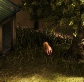 鸟笼囚禁者攻略