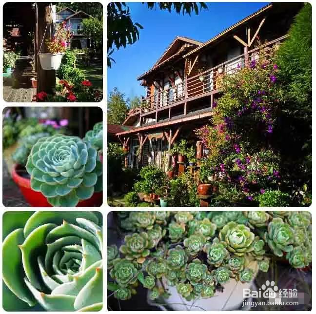 去台湾旅游哪些名宿值得推荐