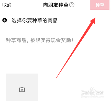 小鹅拼拼怎么种草