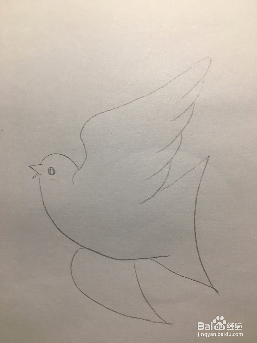 儿童美术 鸽子简笔画 鸽子涂鸦画