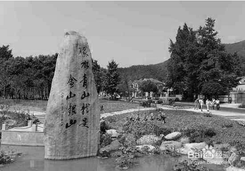 用计算机为图片自动着色