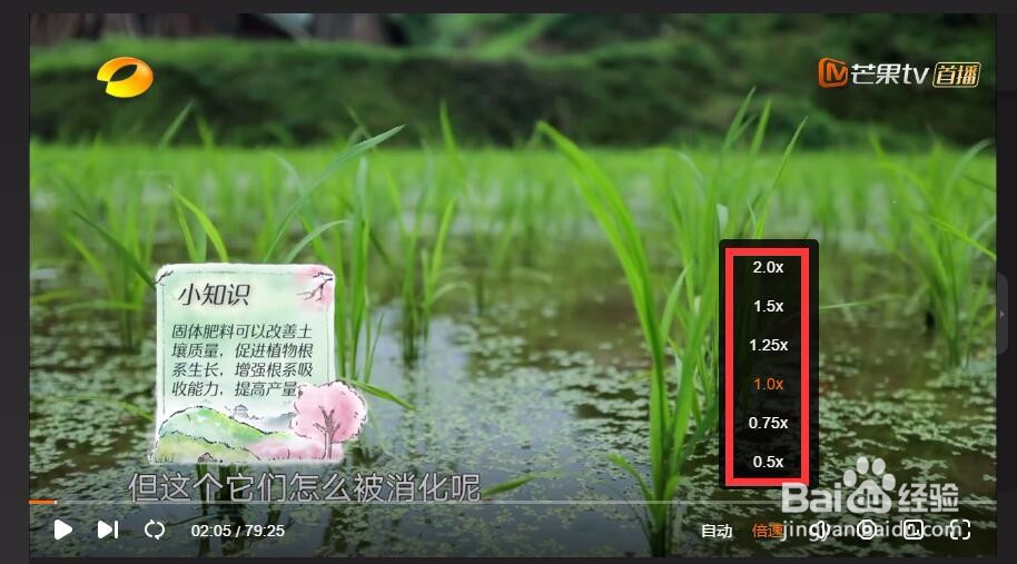 芒果tv怎么设置加速播放