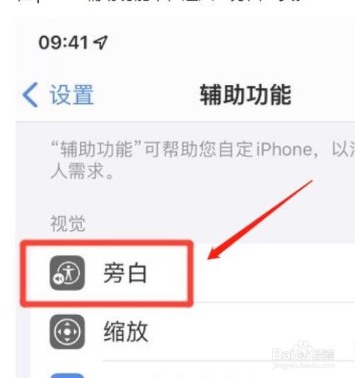 iphone手机旁白怎么开启文本识别?
