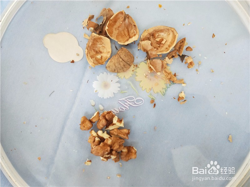 核桃钳子如何轻松快速的打开核桃