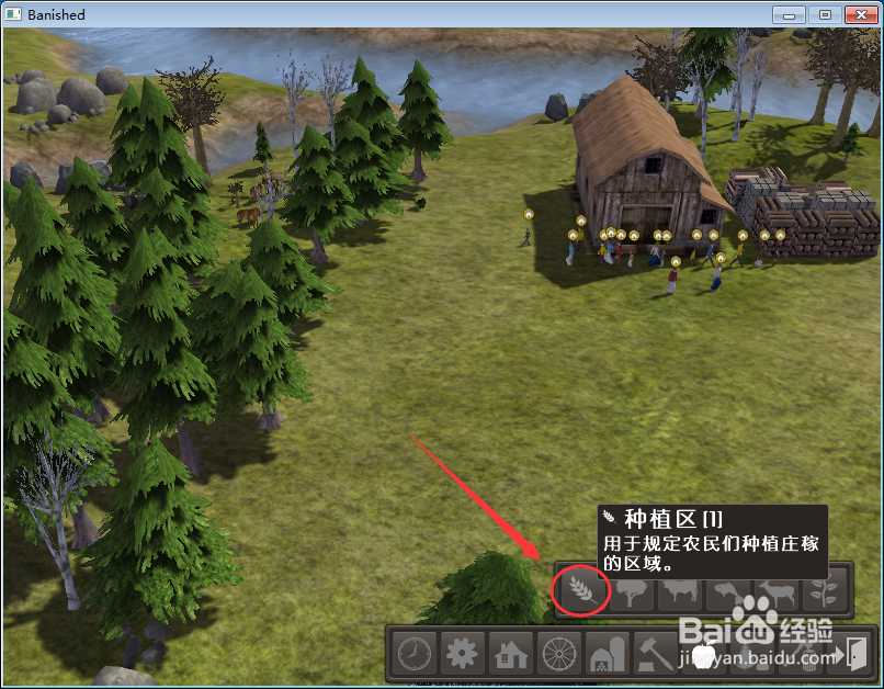 放逐之城卷心菜怎么使得收获按钮变成可操作状态