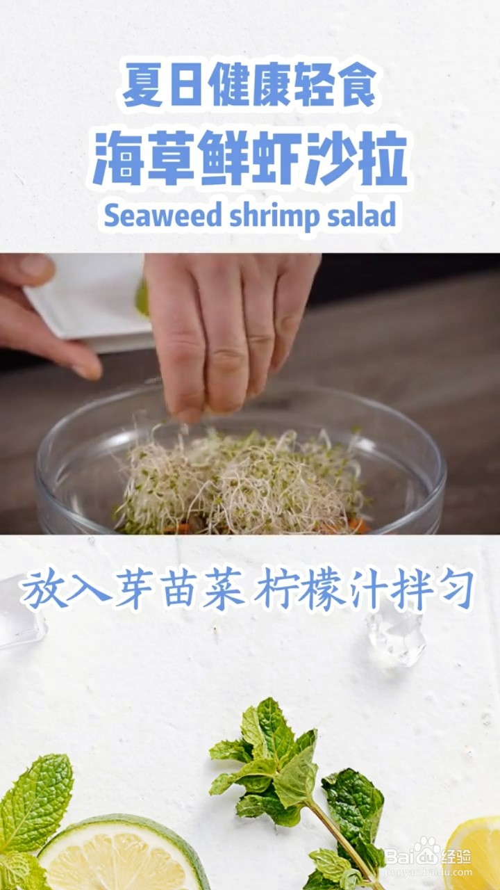 如何制作海草鲜虾沙拉