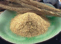 快速瘦身变窈窕女郎