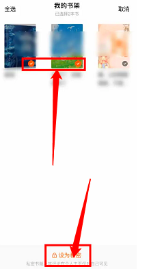 番茄小说如何将书架的书设置为私有