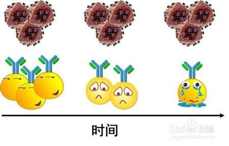 新型冠状病毒肺炎的主要传播途径是什么