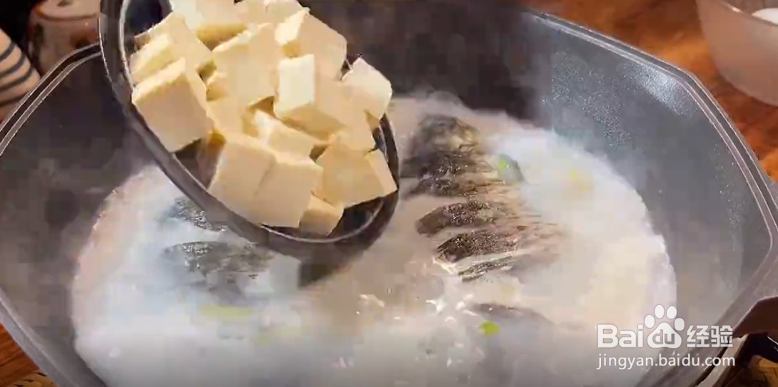 如何将鲫鱼汤做的又白又美味