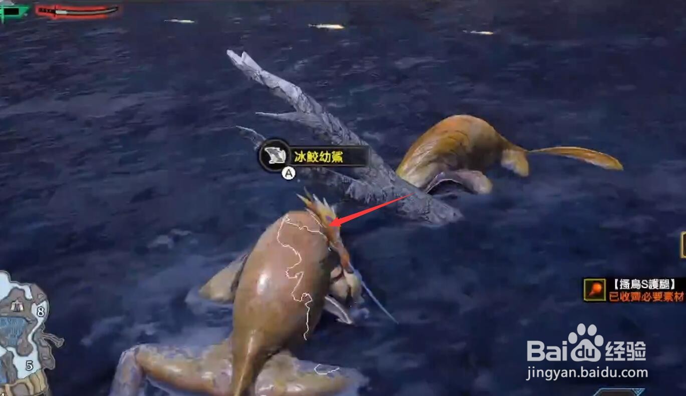 怪物猎人崛起厚实的皮怎么获得