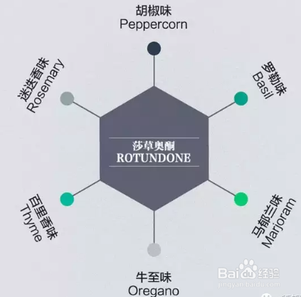 葡萄酒的风味来源