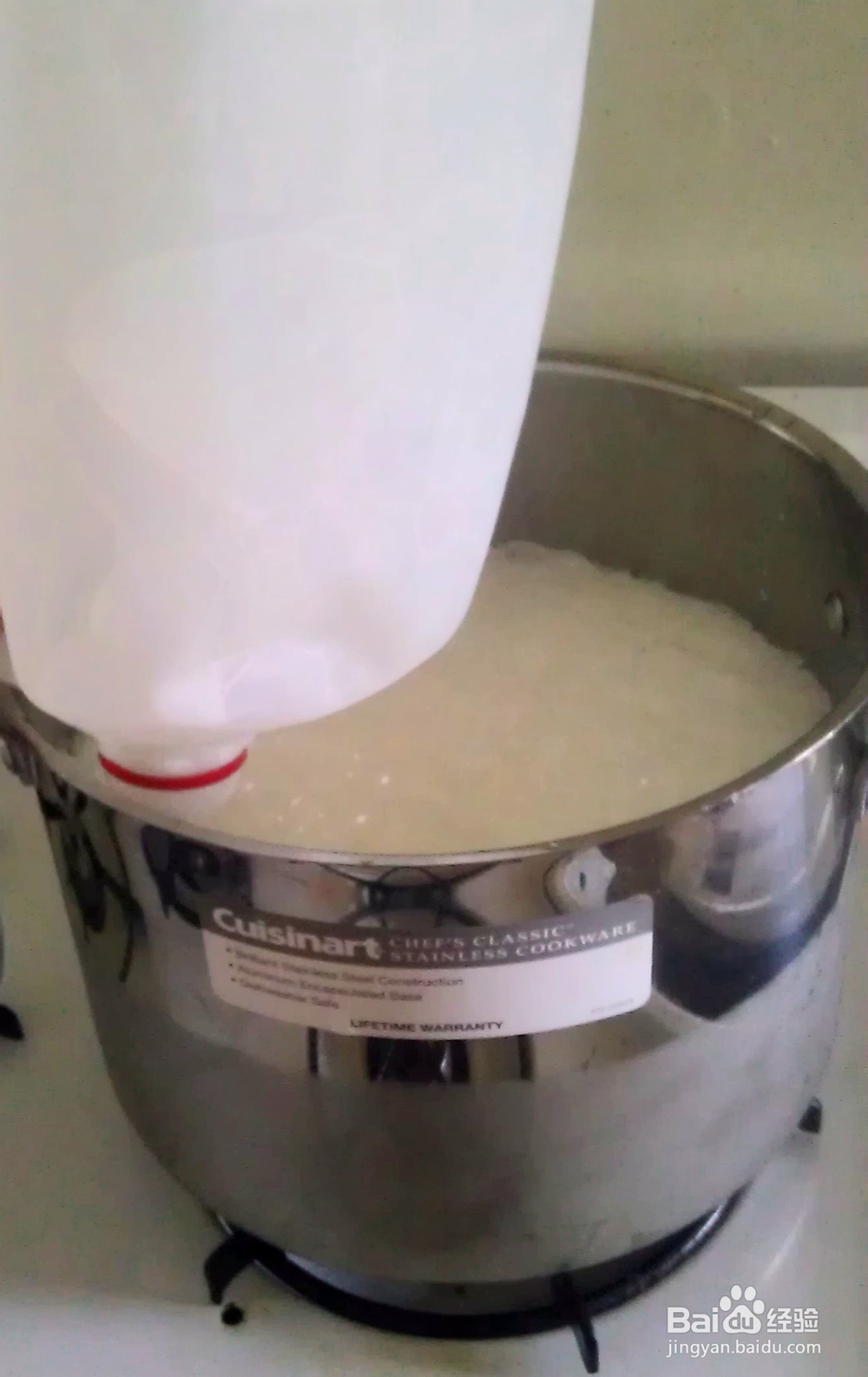 味美鲜香的马苏里拉奶酪