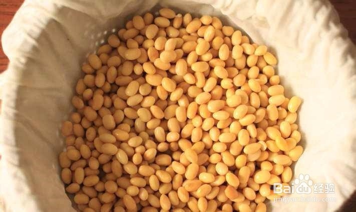 怎样发黄豆芽？