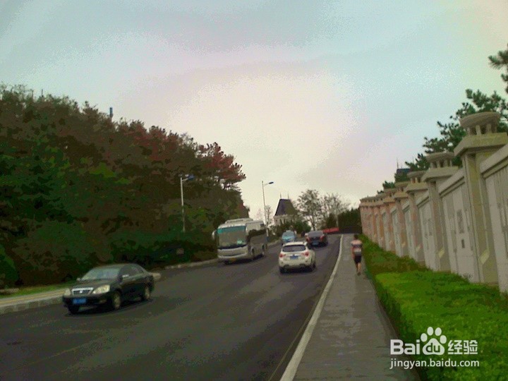 散步携带宠物狗要安全出行