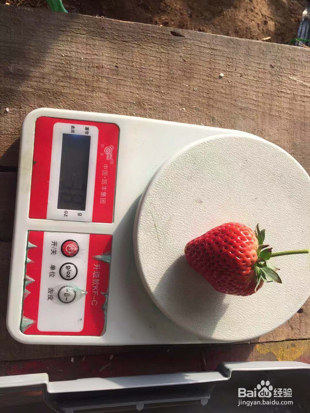 赤丹的试验使用经验和报告