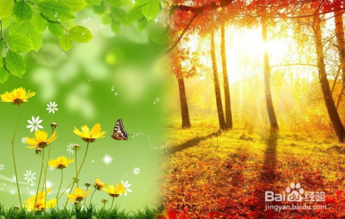 若何断奶才不会涨且不会造成乳腺发炎