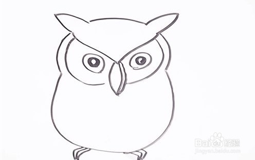 伴儿成长简笔画系列-怎样画猫头鹰简笔画