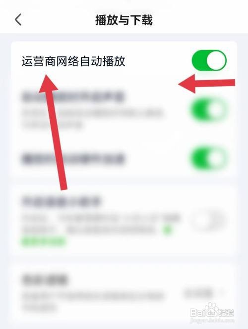 爱奇艺如何打开运营商网络自动播放
